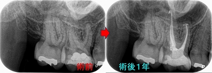 2025 EEdental TYA (2).jpg