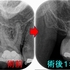 2025 EEdental TYA (2).jpg