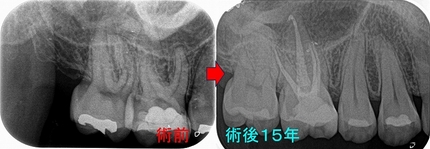 2025 EEdental TYA (3).jpg