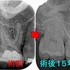 2025 EEdental TYA (3).jpg