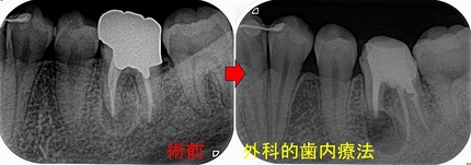 2025 EEdental KAK (3).jpg
