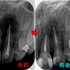 2025 EEdental KAW (3).jpg