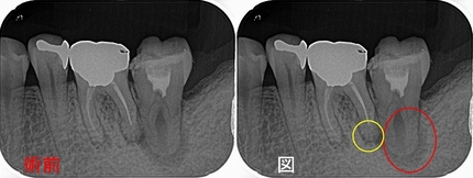 2025 EEdental KOE (1).jpg