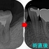 2025 EEdental KOE (2).jpg