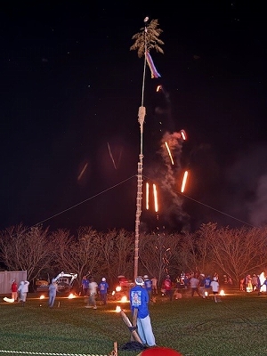 2025 EEdental MIYA (3).jpg