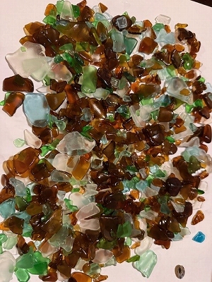 2025 EEdental MIYA (6).jpg