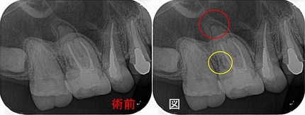 2025 EEdental MIZ (1).jpg