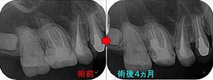 2025 EEdental MIZ (3).jpg