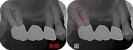 2025 EEdental MZY (1).jpg