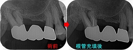 2025 EEdental MZY (2).jpg