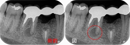 2025 EEdental YSY (1).jpg