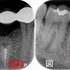2025 EEdental YSY (1).jpg