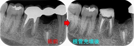 2025 EEdental YSY (2).jpg