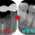 2025 EEdental YSY (2).jpg