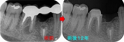 2025 EEdental YSY (3).jpg