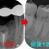 2025 EEdental YSY (3).jpg