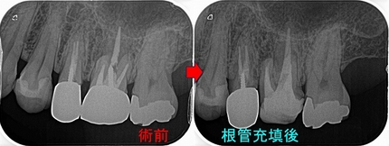 2026 EEdental YHI (2).jpg