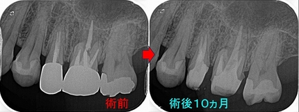 2026 EEdental YHI (4).jpg