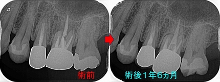 2026 EEdental YHI (6).jpg
