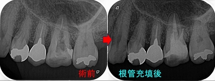 2025 EEdental HYA (3).jpg