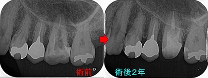 2025 EEdental HYA (5).jpg