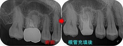 2025 EEdental IN (2).jpg