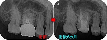 2025 EEdental IN (3).jpg