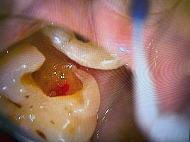 2025 EEdental Tm (０).jpg