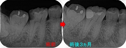 2025 EEdental Tm (3).jpg