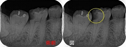 2025 EEdental Tom (1).jpg