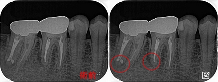 2025 EEdental YHI (1).jpg