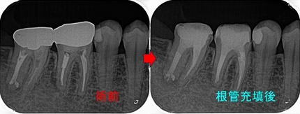 2025 EEdental YHI (2).jpg