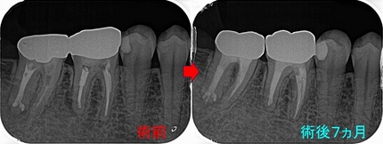 2025 EEdental YHI (3).jpg