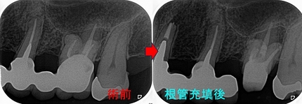 2025 EEdental FY (2).jpg