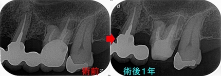 2025 EEdental FY (3).jpg