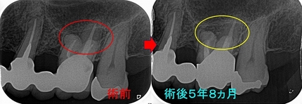 2025 EEdental FY (4).jpg