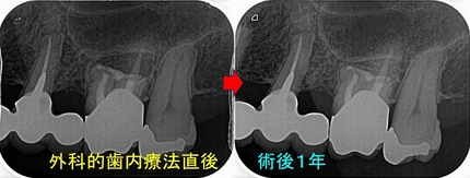 2025 EEdental FY (6).jpg