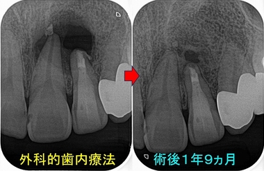 2025 EEdental IA (3).jpg