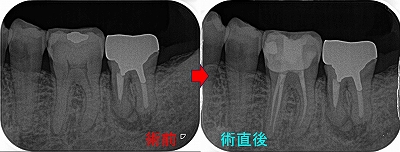 2025 EEdental OT (1).jpg