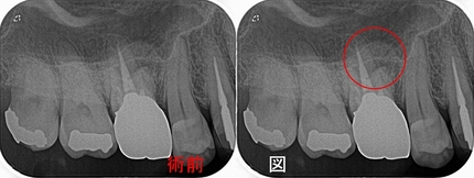 2025 EEdental SO (1).jpg