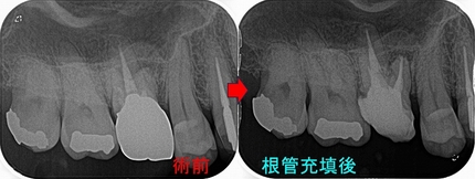 2025 EEdental SO (2).jpg