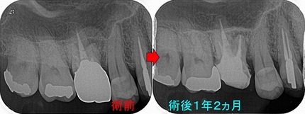 2025 EEdental SO (3).jpg