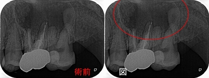 2025 EEdental TUT (1).jpg