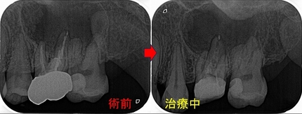 2025 EEdental TUT (2).jpg
