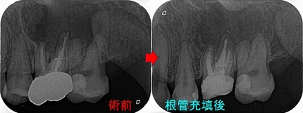 2025 EEdental TUT (3).jpg