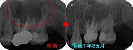2025 EEdental TUT (4).jpg