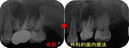 2025 EEdental TUT (5).jpg