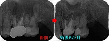 2025 EEdental TUT (6).jpg