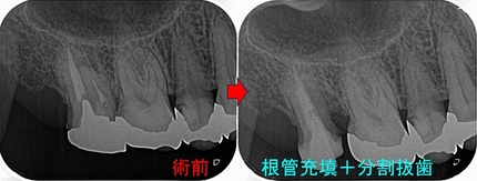 2025 EEdental YAH (2).jpg