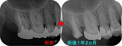 2025 EEdental YAH (3).jpg